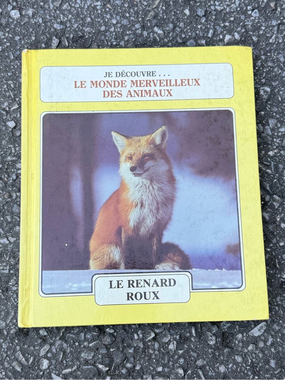 Le Renard Roux Illustrated Animal Book
